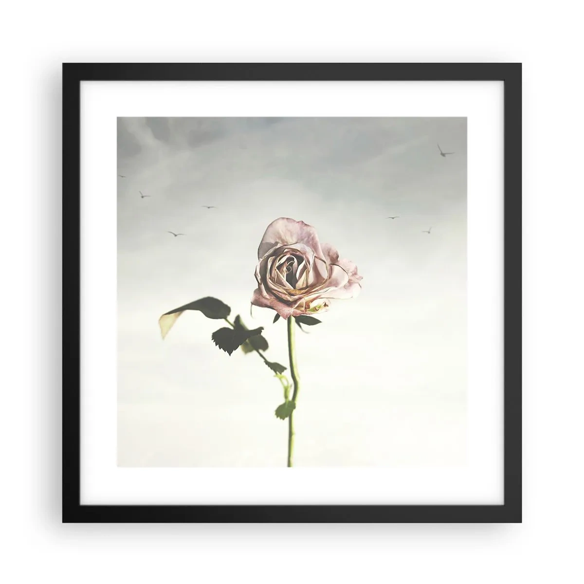 Poster in einem schwarzem Rahmen - Begrüßung des Frühlings - 40x40 cm