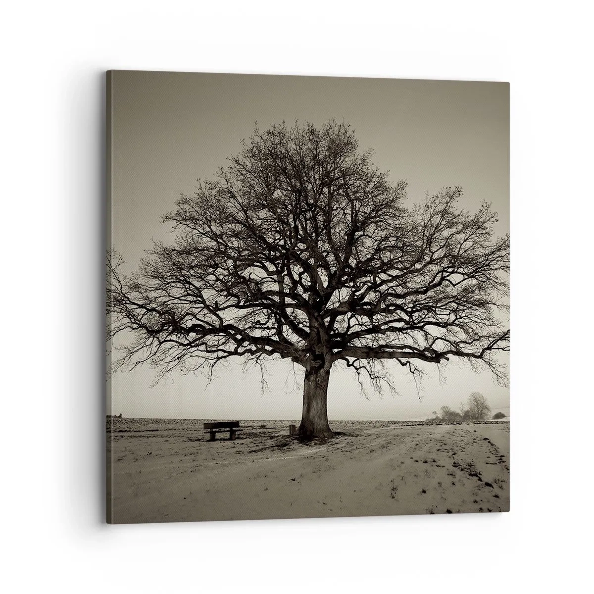 Bild auf Leinwand - Leinwandbild - Von hier zu Ewigkeit - 70x70 cm