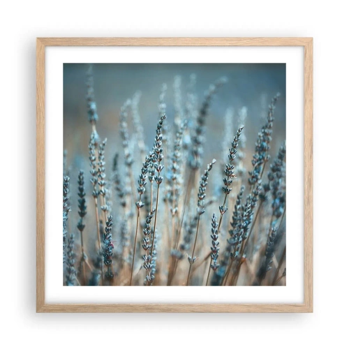 Poster in einem Rahmen aus heller Eiche - Duftendes Kornfeld - 50x50 cm