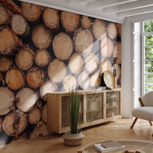 Selbstklebende Fototapete Deluxe Sticker - Ein neuer Anfang - Holz, Holzstämme, Natur - 200x140 cm