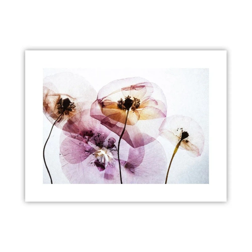 Poster - Transparente Körperblumen - 40x30 cm