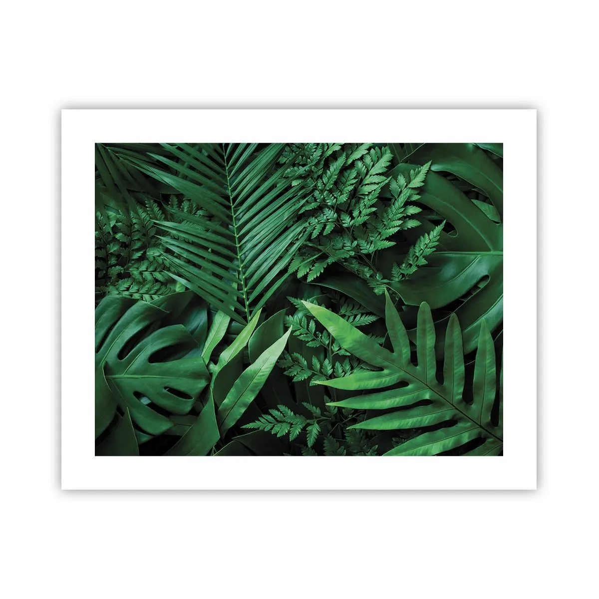 Poster - Eingebettet ins Grüne - 50x40 cm