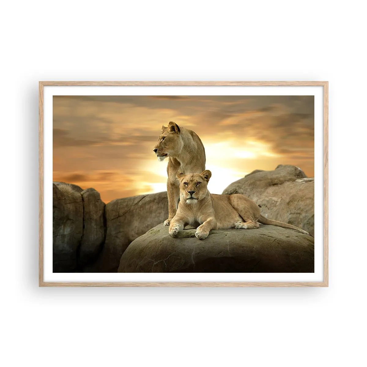 Poster in einem Rahmen aus heller Eiche - Königliche Majestät - 100x70 cm