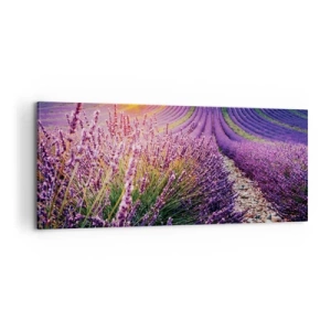 Bild auf Leinwand - Leinwandbild - Duftende Kornfelder - 100x40 cm