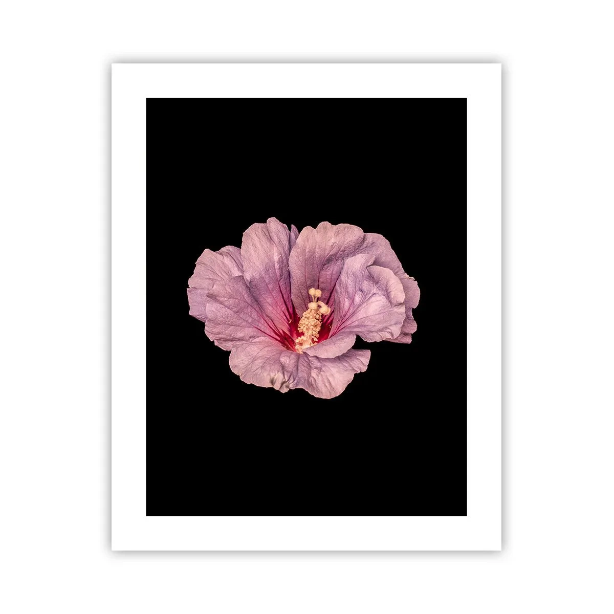 Poster - Direkt ins Herz - 40x50 cm