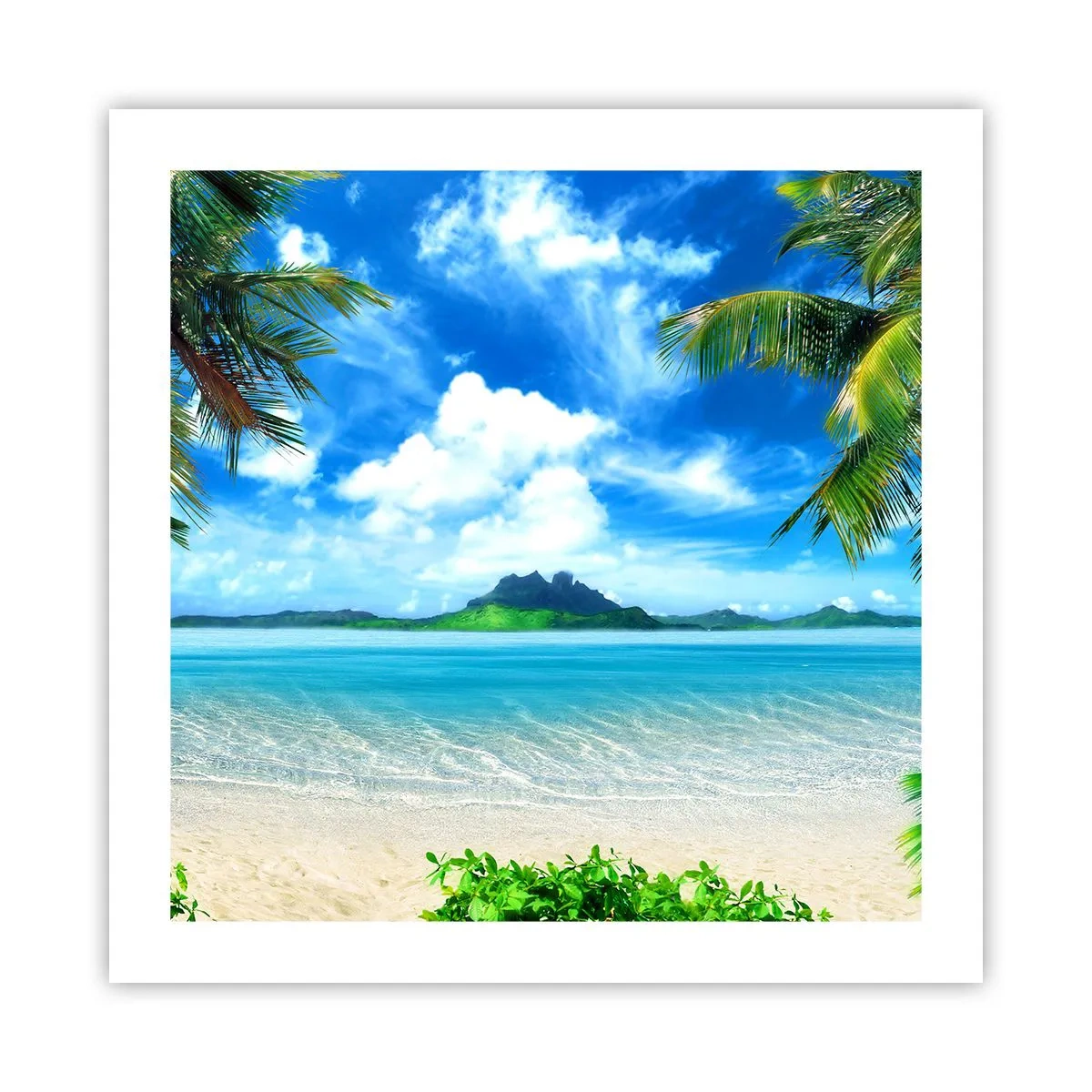 Poster - Das Azurblau der Tropen - 50x50 cm