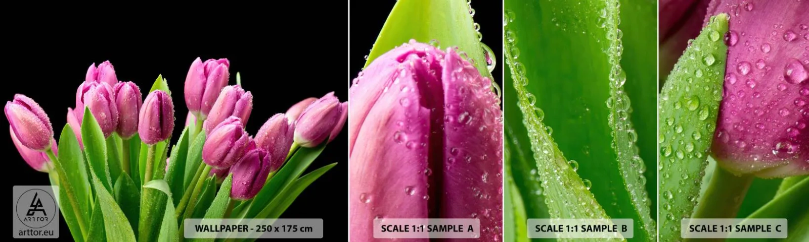 Fototapetenmuster Standard Eco - Lila Frühlingsfreude - Blumen, Tulpen, Blumenstrauß - 100x30 cm