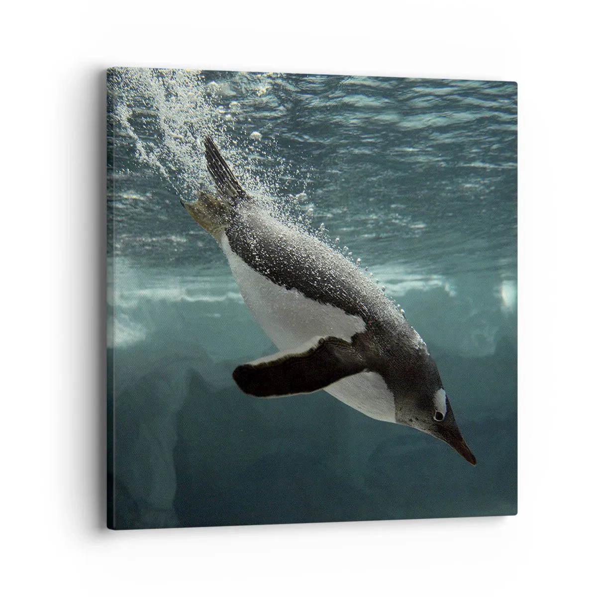 Bild auf Leinwand - Leinwandbild - Willkommen in meiner Welt - 40x40 cm