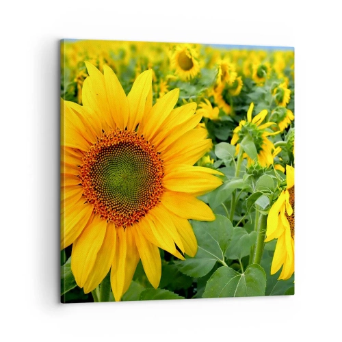 Bild auf Leinwand - Leinwandbild - Hunderte von Sonnen flammten auf - 60x60 cm