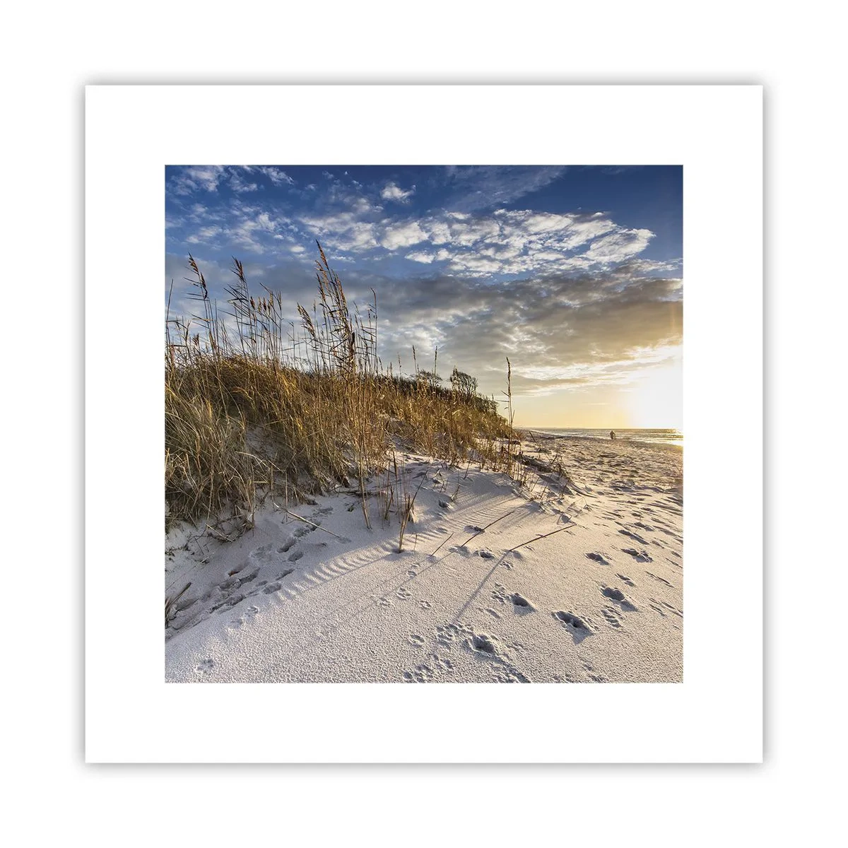 Poster - Einladung zu einem Spaziergang - 30x30 cm