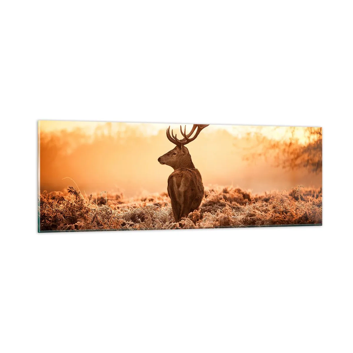 Glasbild - Bild auf glas - Herr im eigenen Land - 90x30 cm