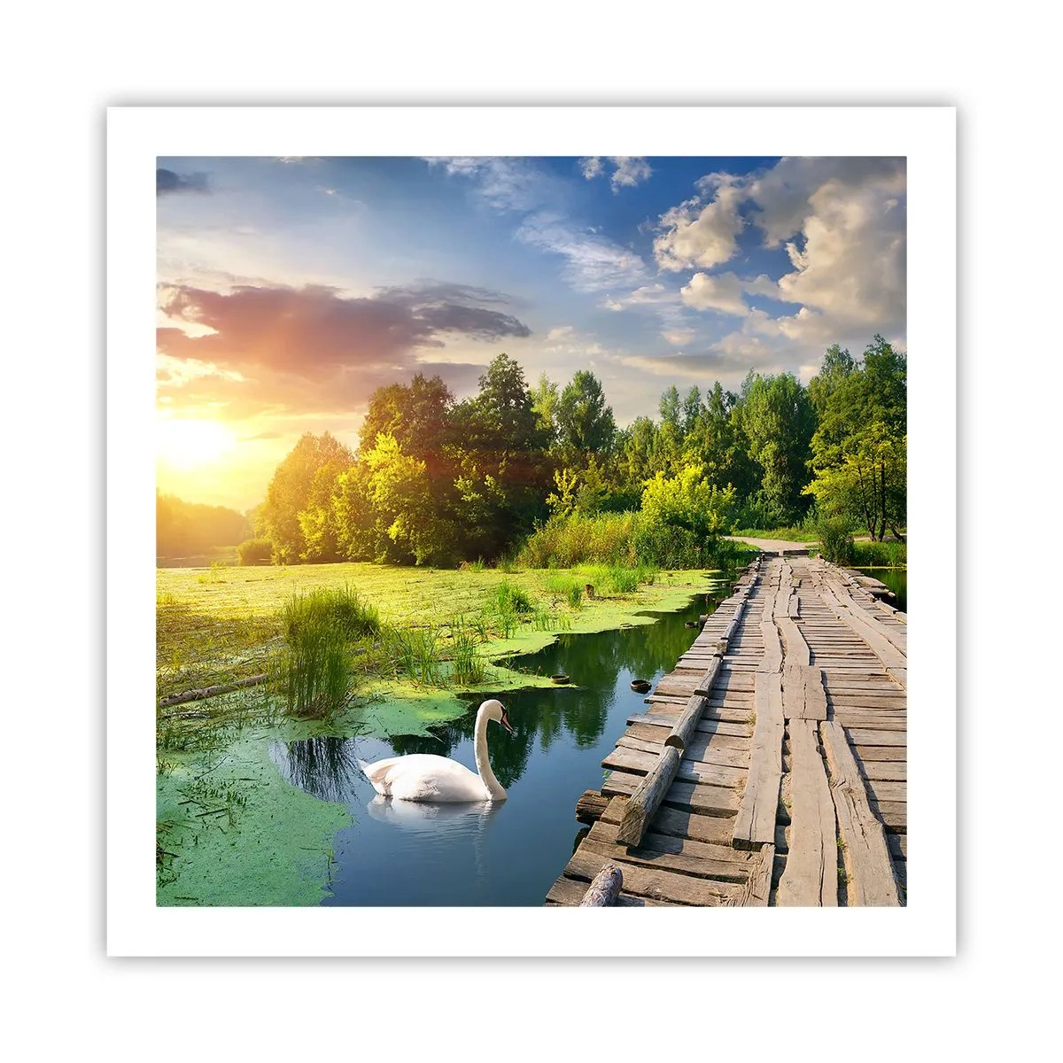 Poster - Sommer, Sommer überall - 60x60 cm