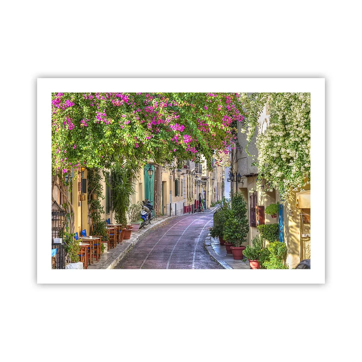 Poster - Blühende Gasse - 70x50 cm