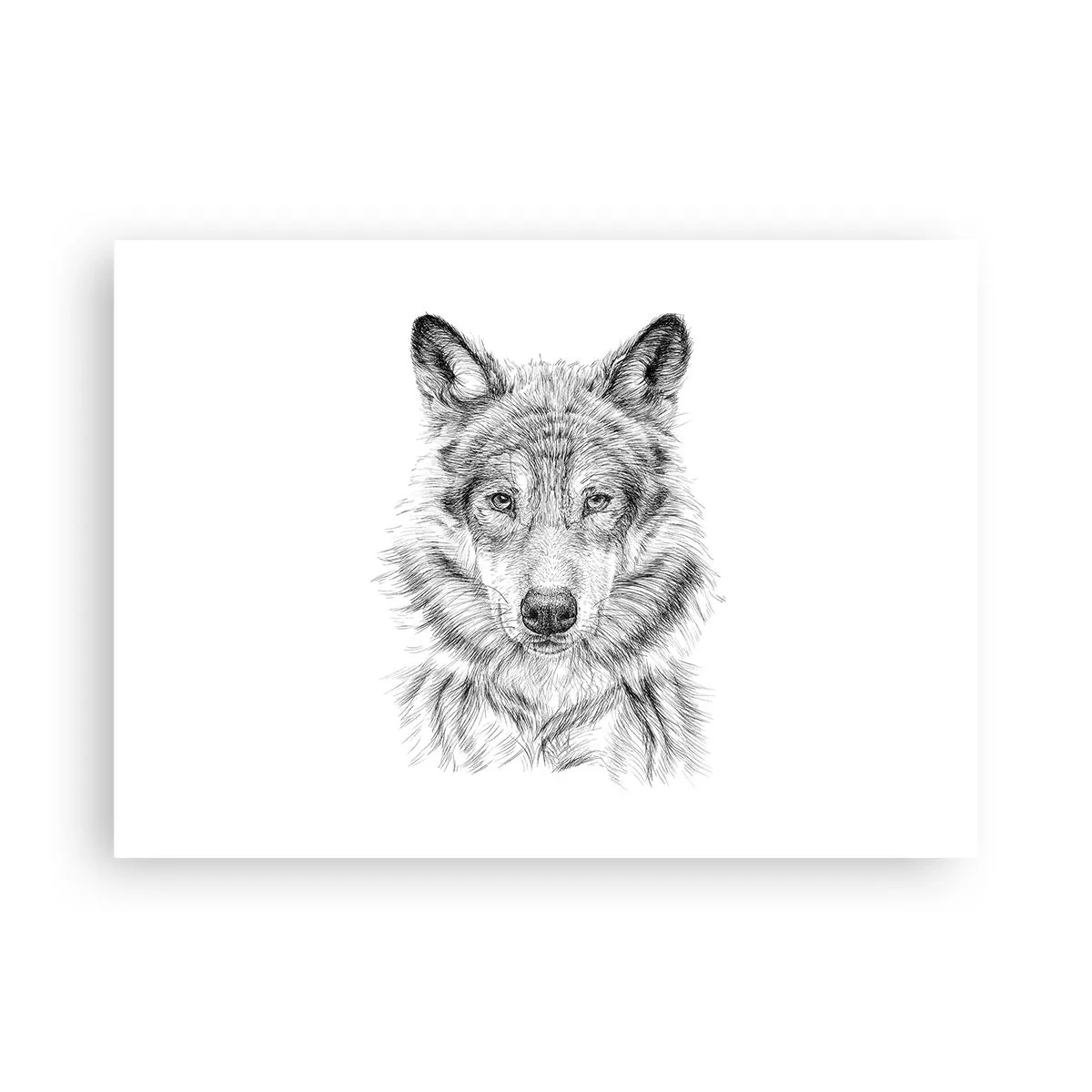 Poster - Ein geborener Anführer - 70x50 cm