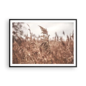 Poster in einem schwarzem Rahmen - Goldene Gräser vor dem Hintergrund der Herbstlandschaft - 100x70cm - Auf den Feldern ist es schon Herbst - Moderne Wanddekoration für Wohnzimmer und Schlafzimmer ARTTOR