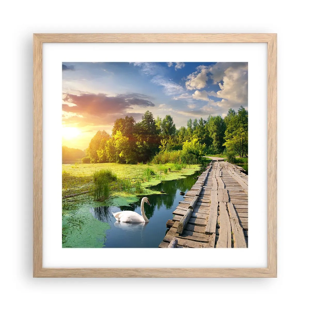 Poster in einem Rahmen aus heller Eiche - Sommer, Sommer überall - 40x40 cm