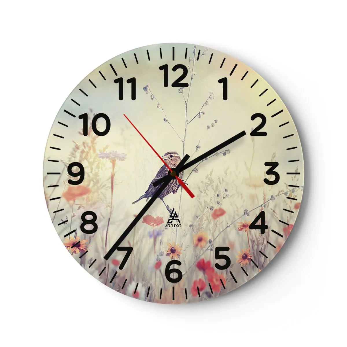 Wanduhr - Glasuhr - Vogelporträt mit einer Wiese im Hintergrund - 40x40 cm