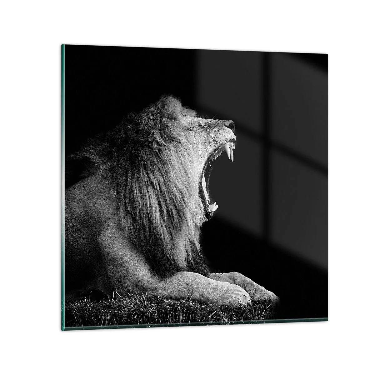 Glasbild - Bild auf glas - Ohne Zweifel - 70x70 cm