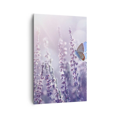 Bild auf Leinwand - Leinwandbild - Ein Schmetterling auf blühendem Lavendel im Morgenlicht - 80x120cm - Schmetterlingskuss - Moderne Wanddekoration für Wohnzimmer und Schlafzimmer ARTTOR