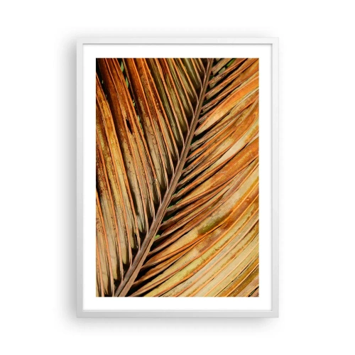 Poster in einem weißen Rahmen - Kokosnuss-Gold - 50x70 cm