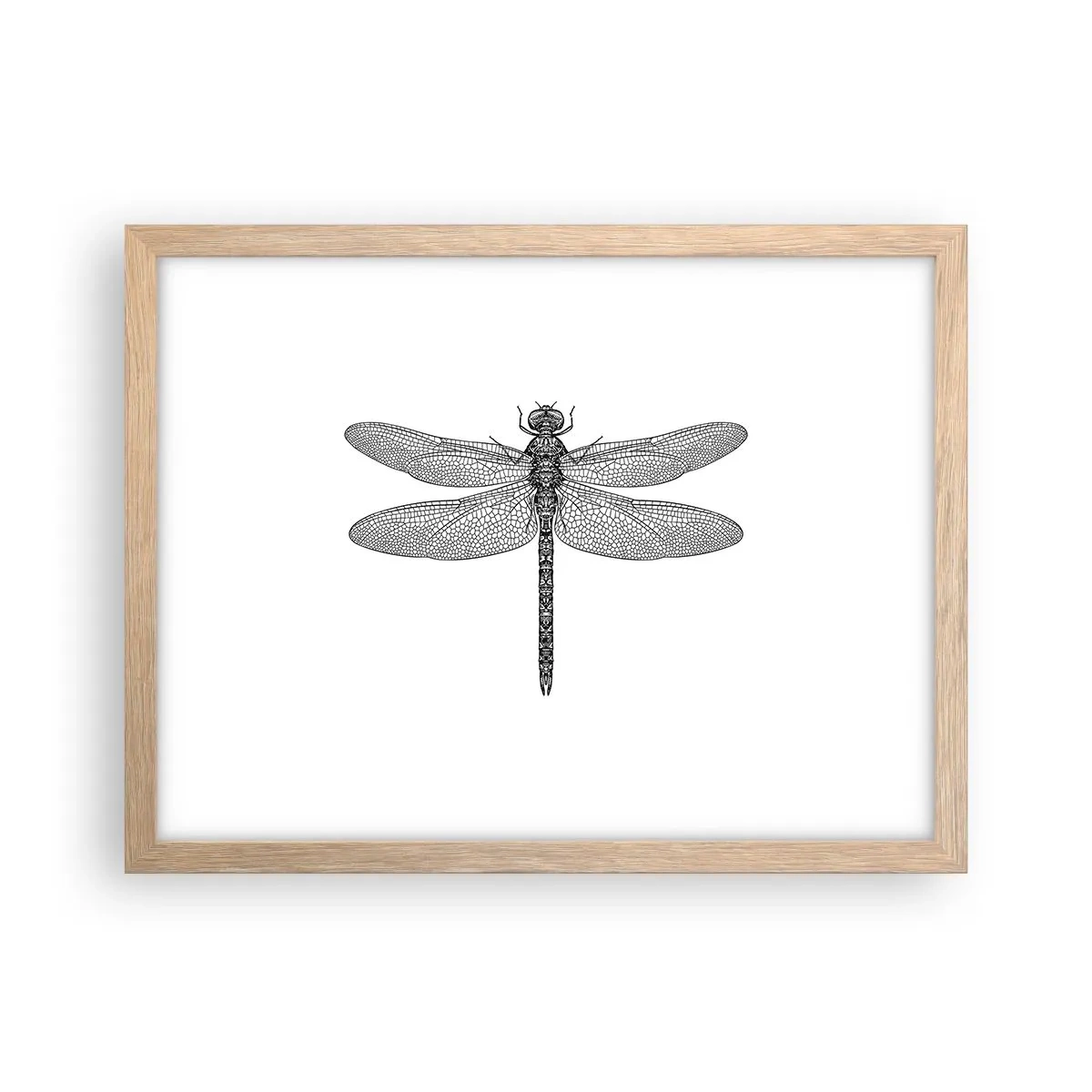 Poster in einem Rahmen aus heller Eiche - Präzision der Natur - 40x30 cm