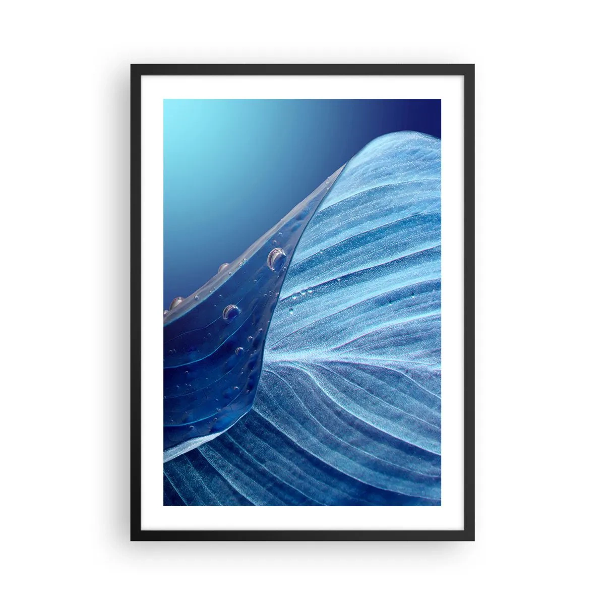 Poster in einem schwarzem Rahmen - Ein Blatt mit Wassertropfen in Blautönen - 50x70cm - Versteckte Tropfen vom Blau - Moderne Wanddekoration für Wohnzimmer und Schlafzimmer ARTTOR