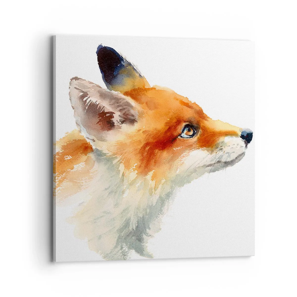 Bild auf Leinwand - Leinwandbild - Man kann nie vorsichtig genug sein - 70x70 cm