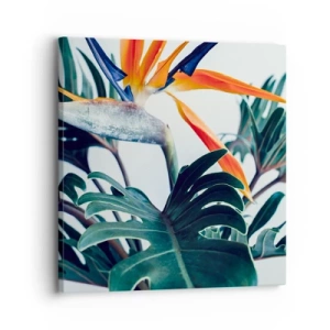 Bild auf Leinwand - Leinwandbild - Vogelbusch - 30x30 cm