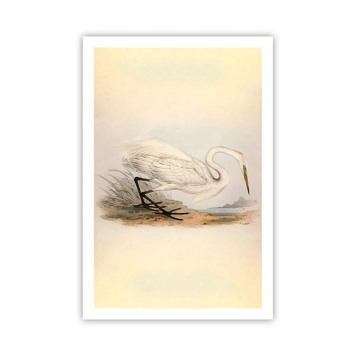 Poster - Dame auf den Binsen - 61x91 cm