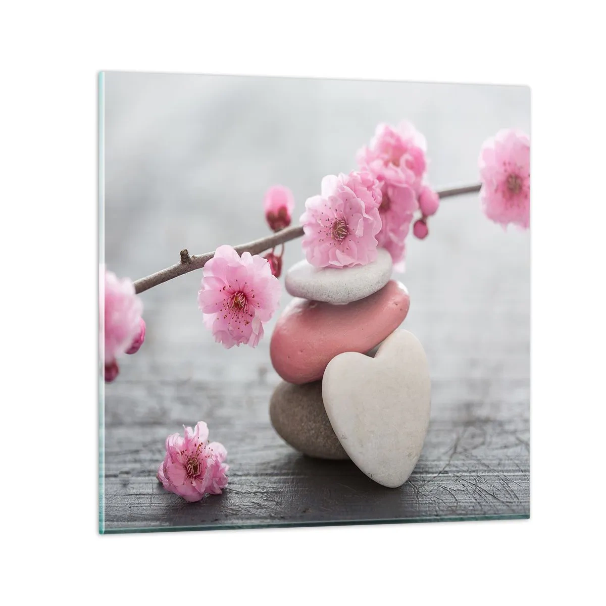 Glasbild - Bild auf glas - Glückseligkeit mit einer Kirschblüte - 30x30 cm