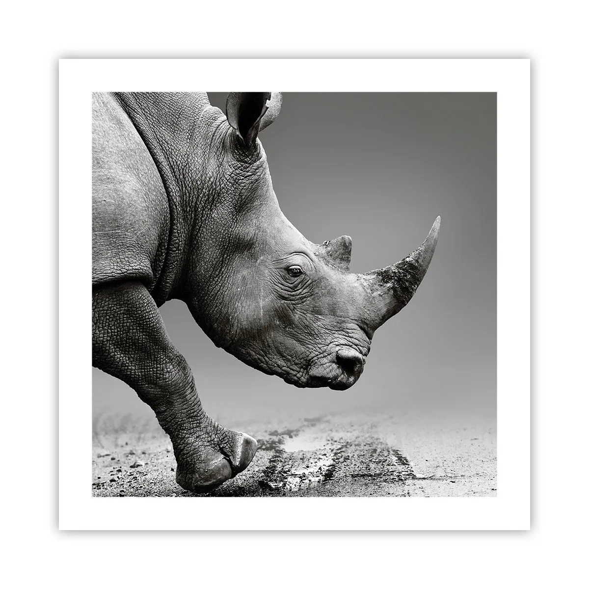 Poster - Unaufhaltsame Stärke - 50x50 cm