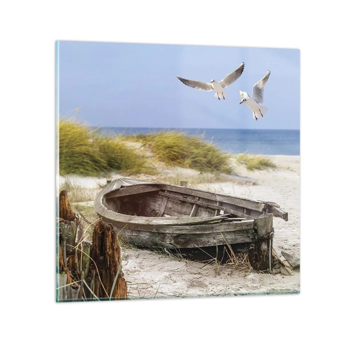 Glasbild - Bild auf glas - In Wind gebadet - 70x70 cm