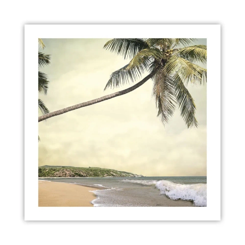 Poster - Tropischer Traum - 50x50 cm