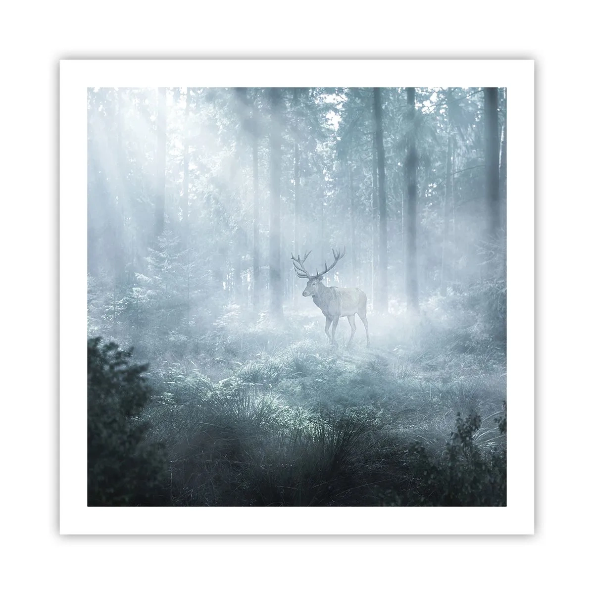 Poster - Morgenvisite auf dem Grundstück - 60x60 cm