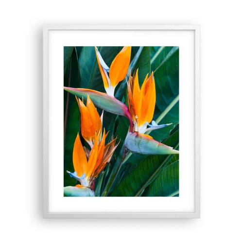 Poster in einem weißen Rahmen - Ist es eine Blume oder ist es ein Vogel? - 40x50 cm