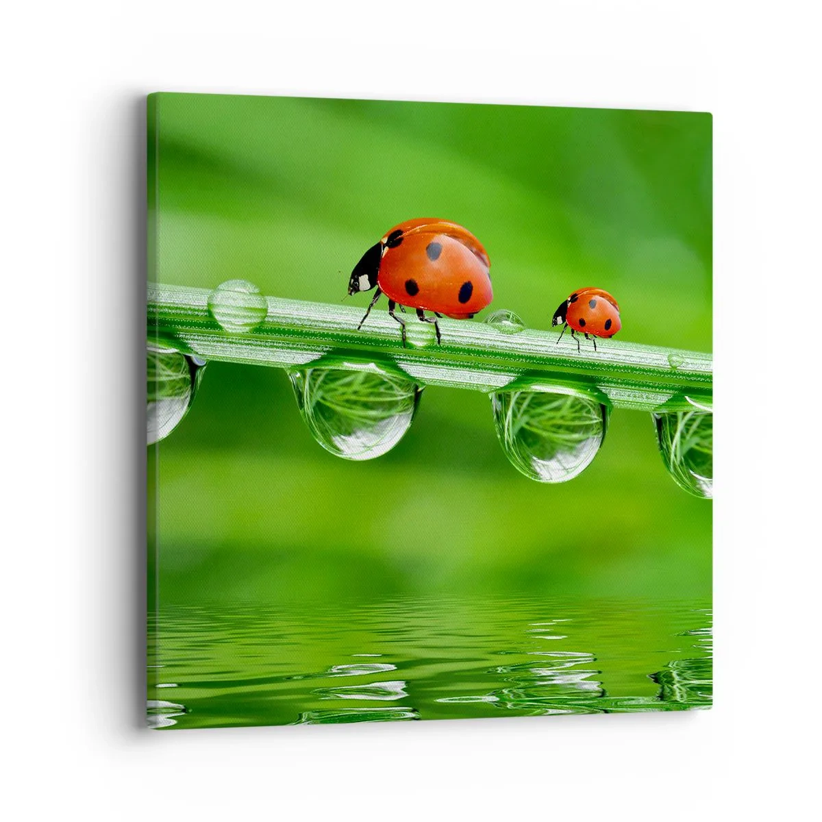 Bild auf Leinwand - Leinwandbild - Den ganzen Sommer unterwegs - 40x40 cm