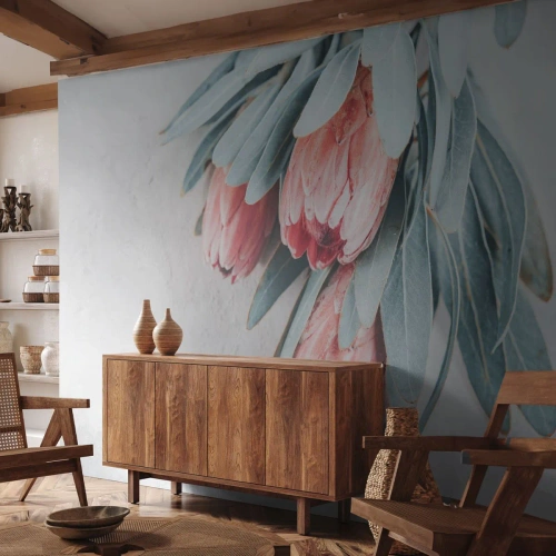 Fototapete Premium Sand - Protea-Blüten mit blaugrünen Blättern auf hellem Hintergrund - 100x70cm - Schämen sich für ihre eigene Schönheit - Moderne Wanddekoration für Wohnzimmer und Schlafzimmer ARTTOR