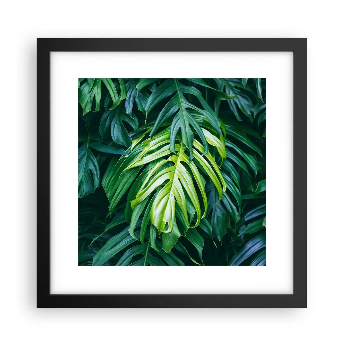Poster in einem schwarzem Rahmen - Tauchen Sie ein in die Frische - 30x30 cm
