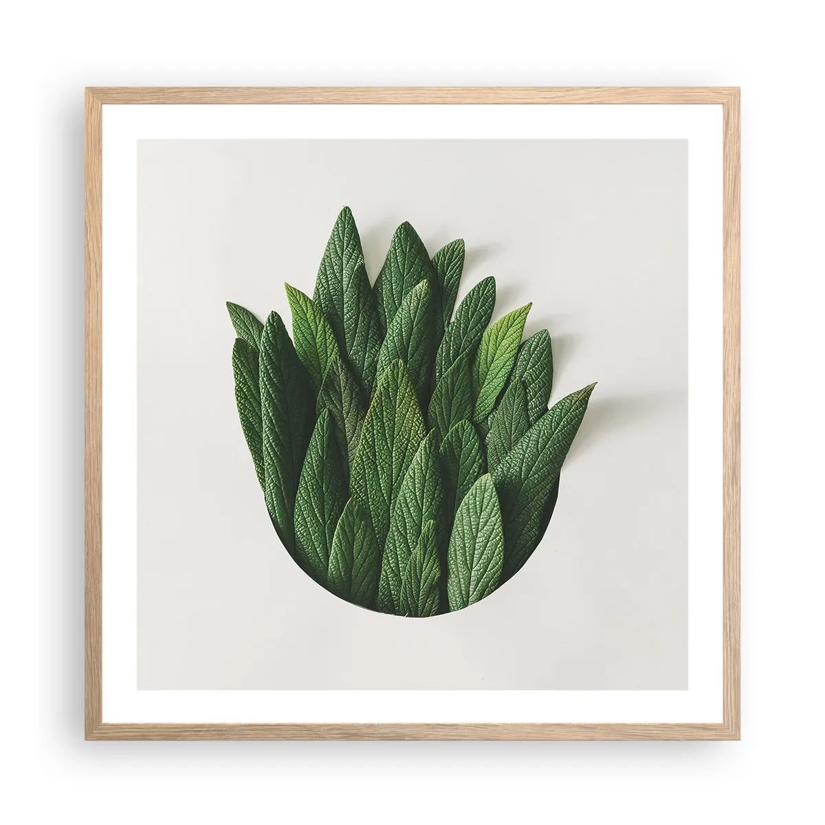 Poster in einem Rahmen aus heller Eiche - Ungebremste Neugier - 60x60 cm