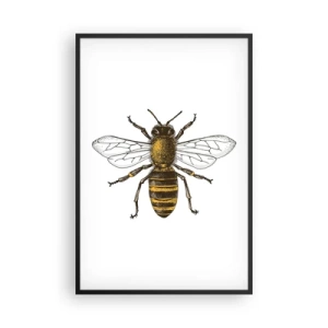 Poster in einem schwarzem Rahmen - Schön und gut - 61x91 cm