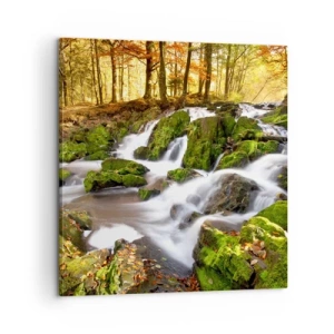 Bild auf Leinwand - Leinwandbild - Rasch durch den herbstlichen Wald - 60x60 cm