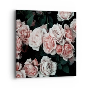 Bild auf Leinwand - Leinwandbild - Rosen-Ensemble - 40x40 cm