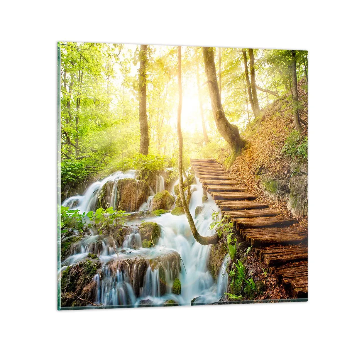 Glasbild - Bild auf glas - Eine ersehnte Kühle - 40x40 cm