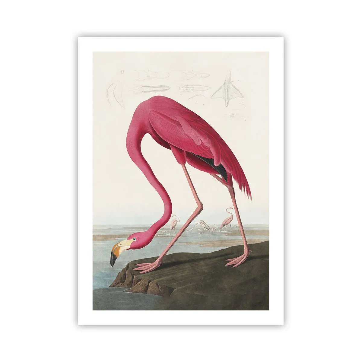 Poster - Ein rosa Flamingo vor einer natürlichen Landschaft - 50x70cm - Erstaunliche Kreation - Moderne Wanddekoration für Wohnzimmer und Schlafzimmer ARTTOR