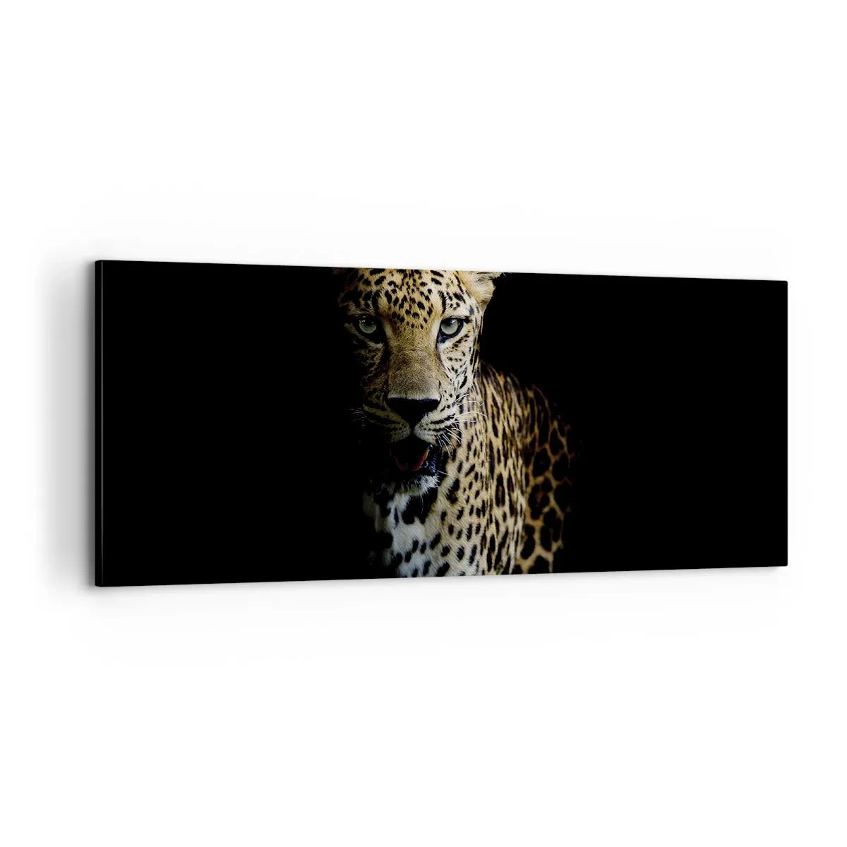 Bild auf Leinwand - Leinwandbild - Dunkle Schönheit - 100x40 cm