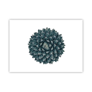 Poster - Stern der Wüste - 70x50 cm