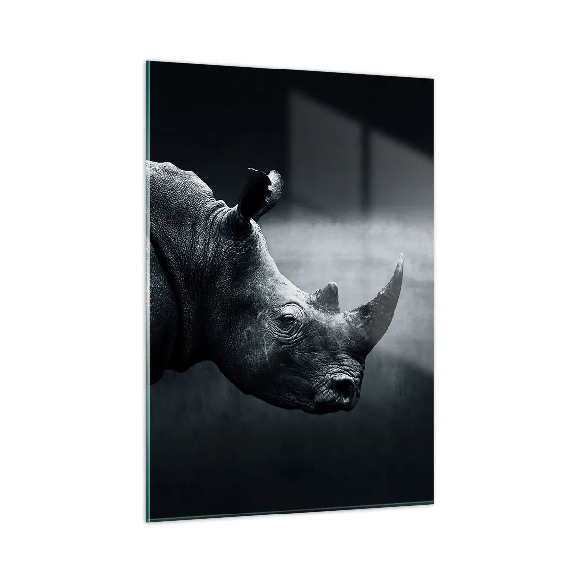Glasbild - Bild auf glas - Schwarz-Weiß-Aufnahme eines Nashorns - 50x70cm - Richtiges Profil - Moderne Wanddekoration für Wohnzimmer und Schlafzimmer ARTTOR
