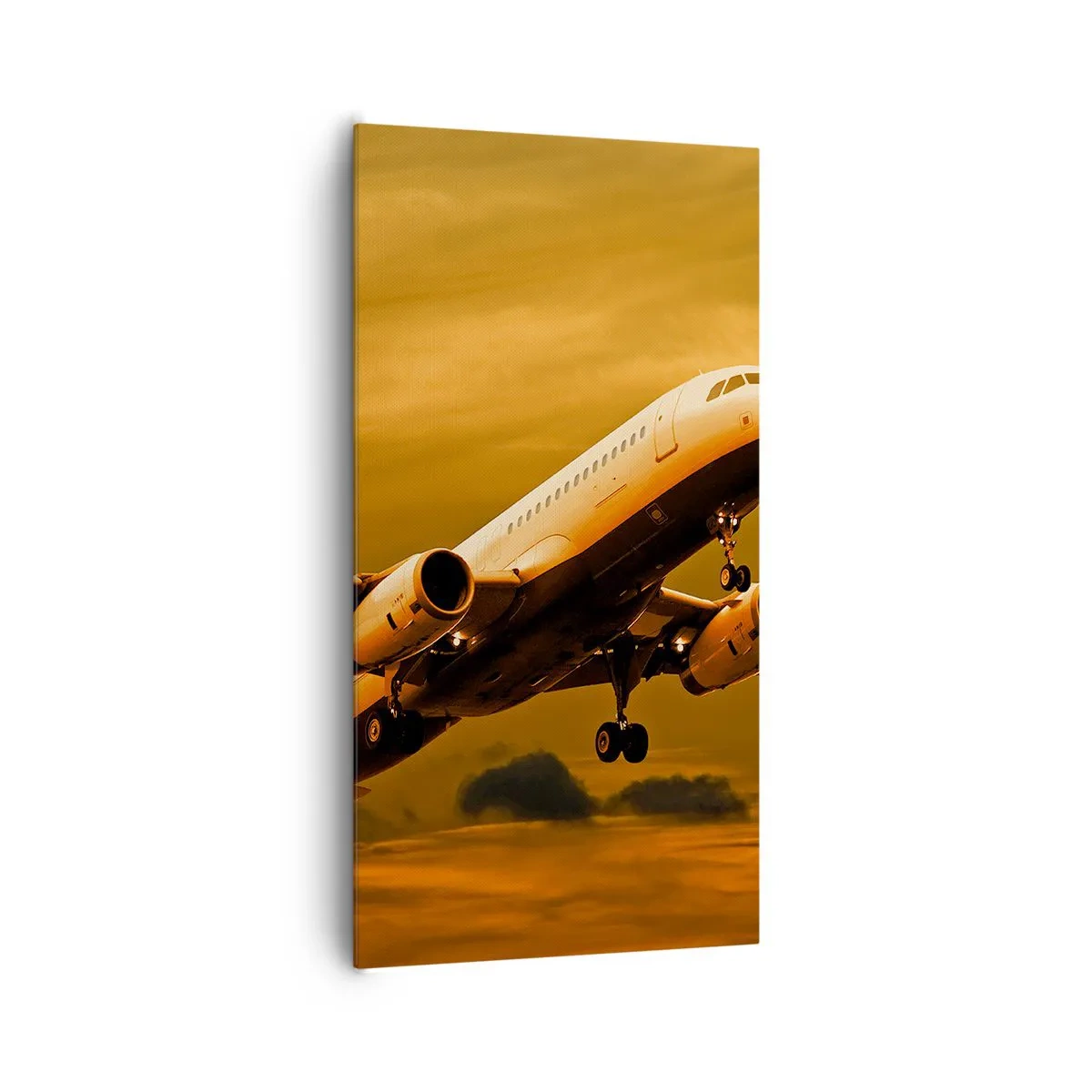 Bild auf Leinwand - Leinwandbild - Flug der Sonne entgegen - 65x120 cm