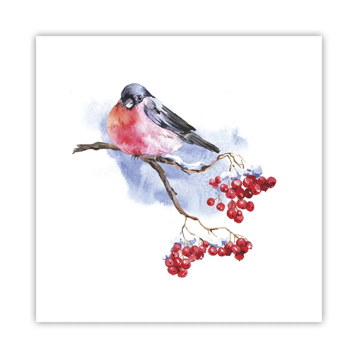 Poster - Winter in Farbe - 40x40 cm