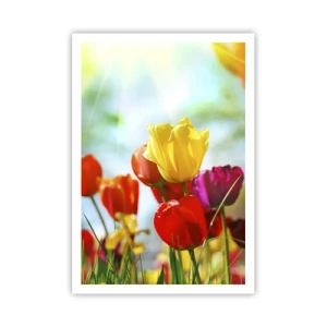 Poster - Alle Farben der Sonne - 70x100 cm